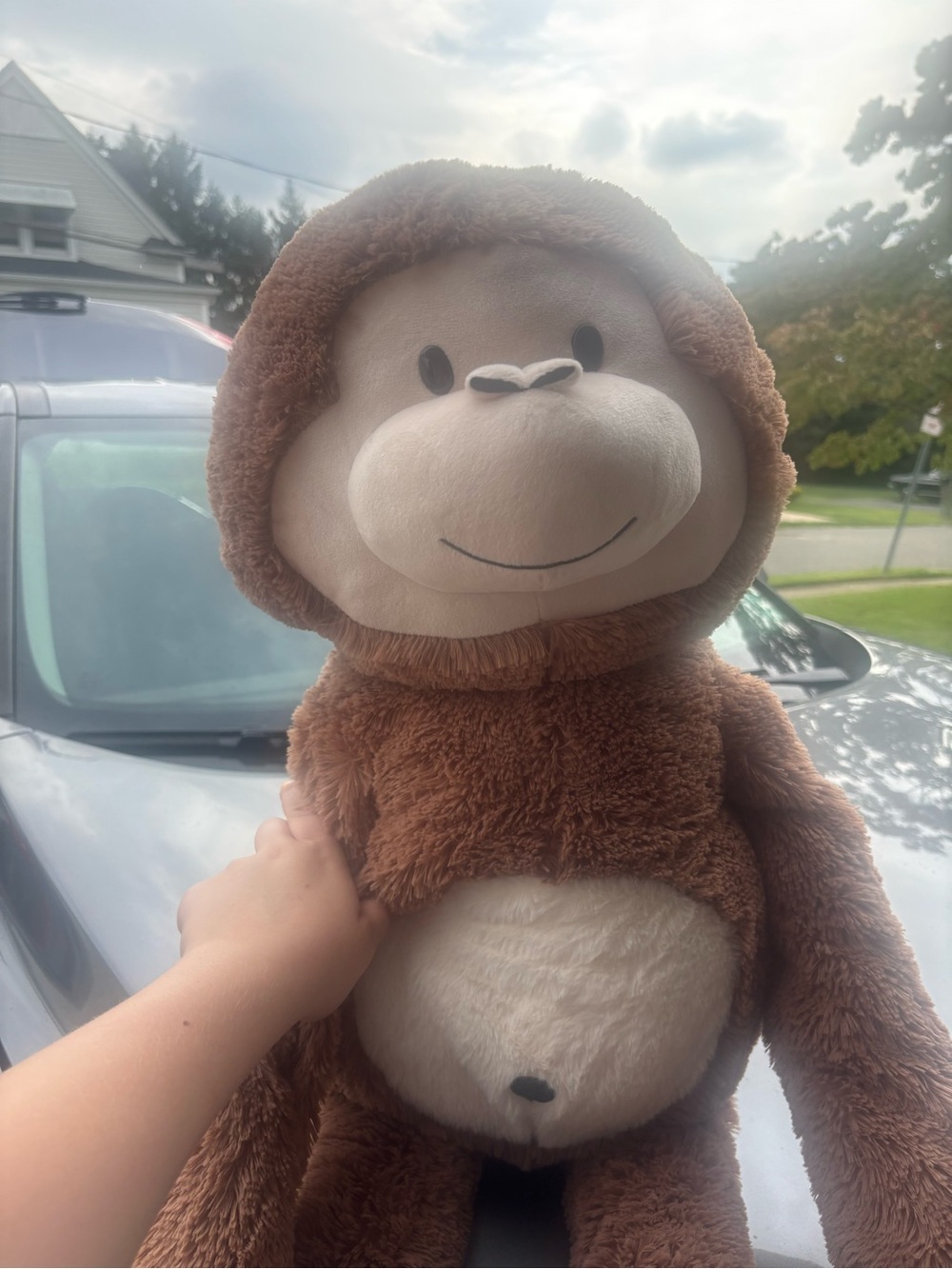 Monkey plush